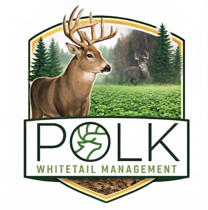 Polk Whitetail Management